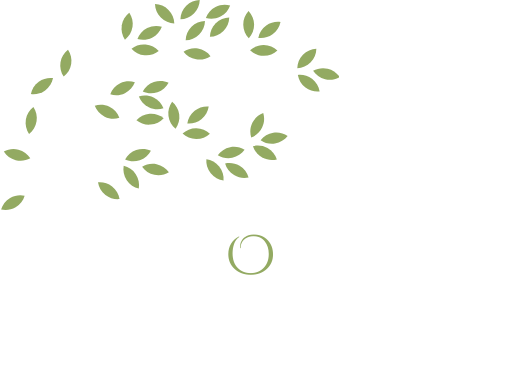 Rohini Vij (1)