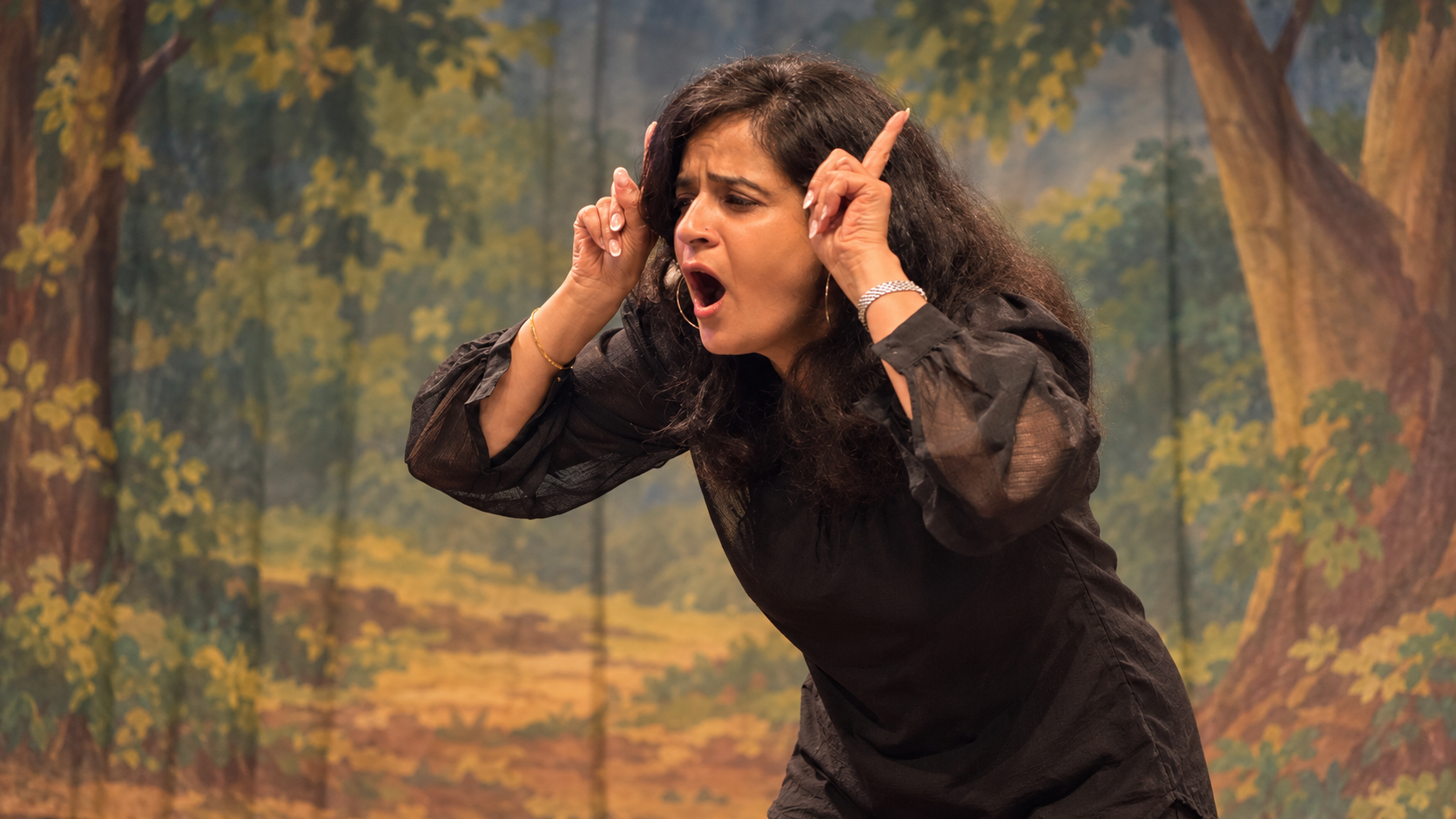 Melbourne based storyteller Rohini Vij performing story theatre for kindergarten and primary schools